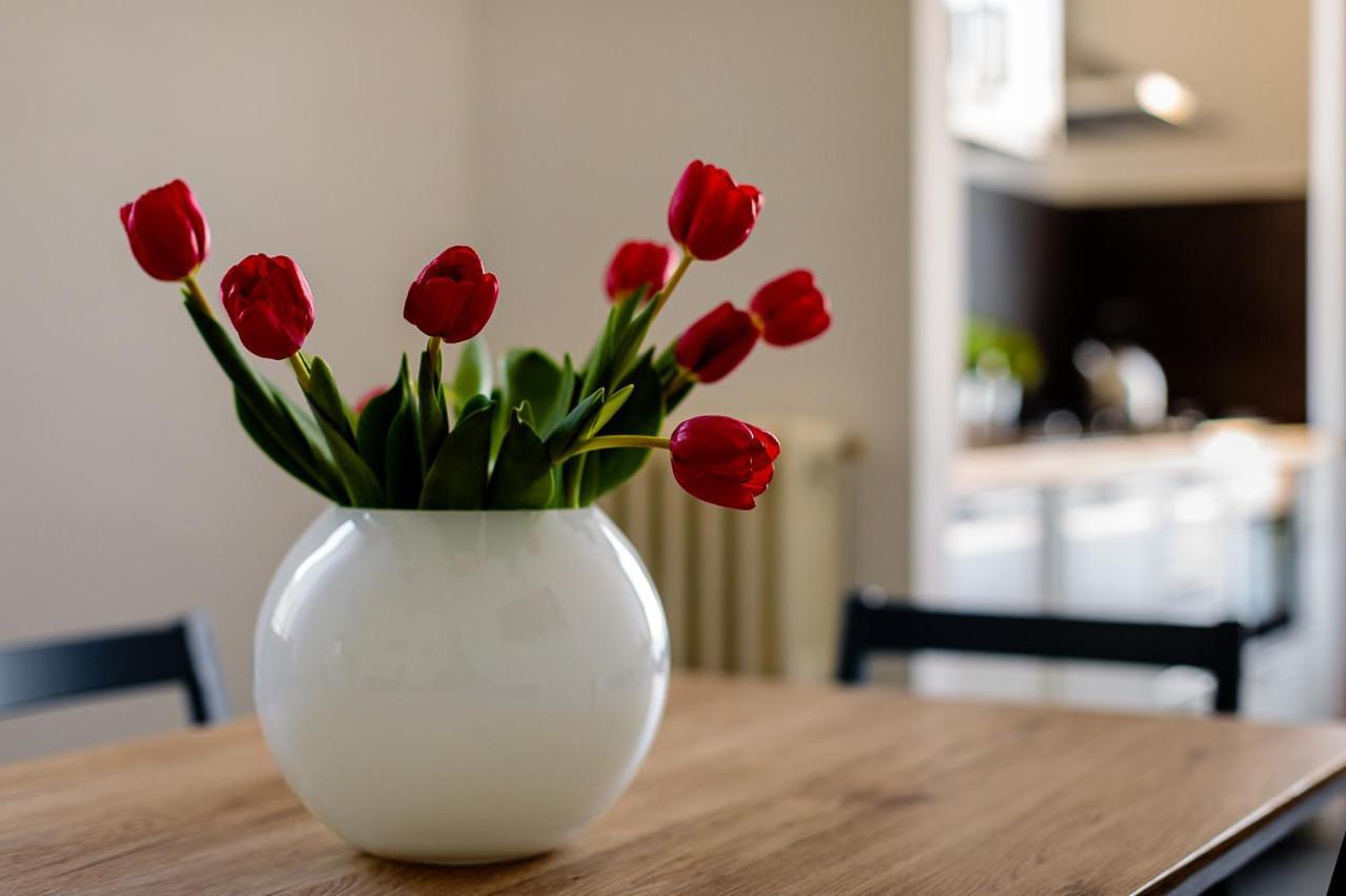 Apartament Le Stanze Di Catia Florencja Zewnętrze zdjęcie